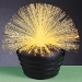 Fibre lamp.jpg